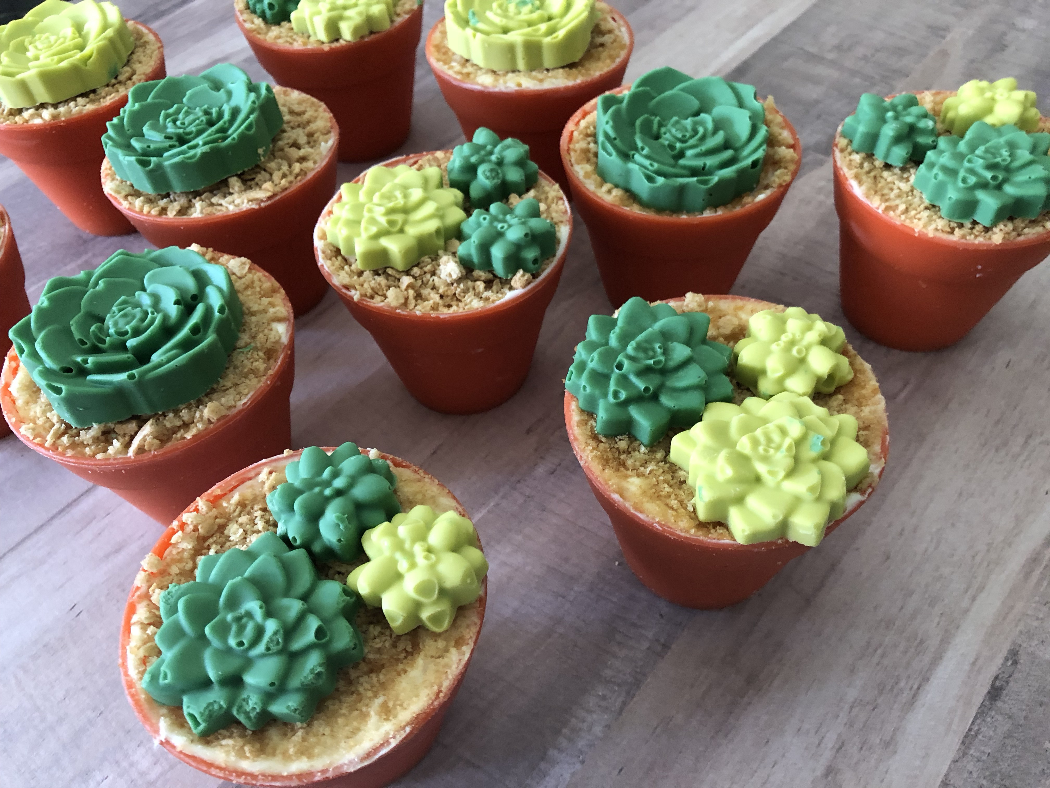 How to make Succulent Cactus Cupcakes - Handmade Happy Hour